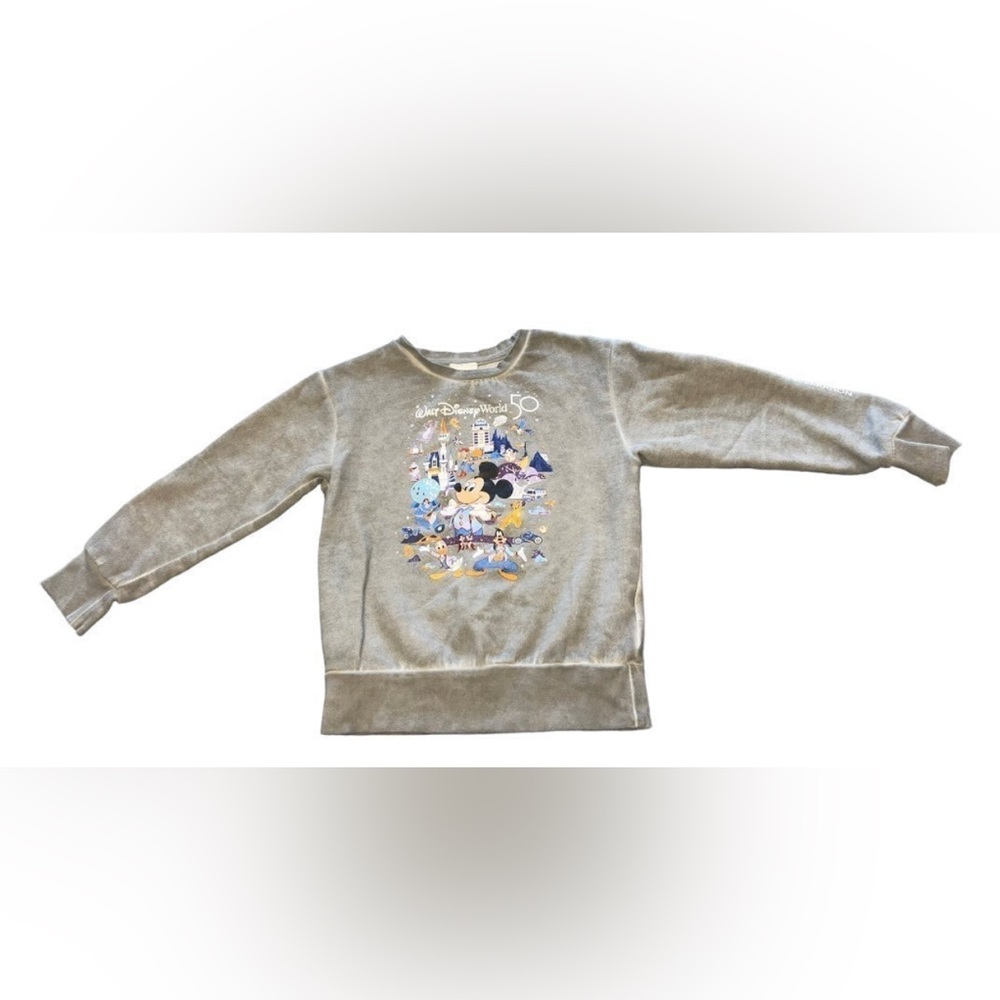 Disney Parks Mickey Mouse and Friends Pullover